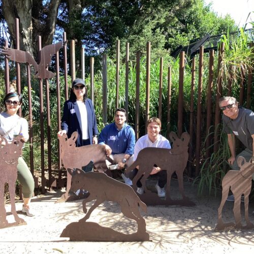 BPCA Zoo 1. Charles+C-Lion+Pac-1-YVWb BPCA Zoo 1. Charles+C-Lion+Pac-1-YVWb